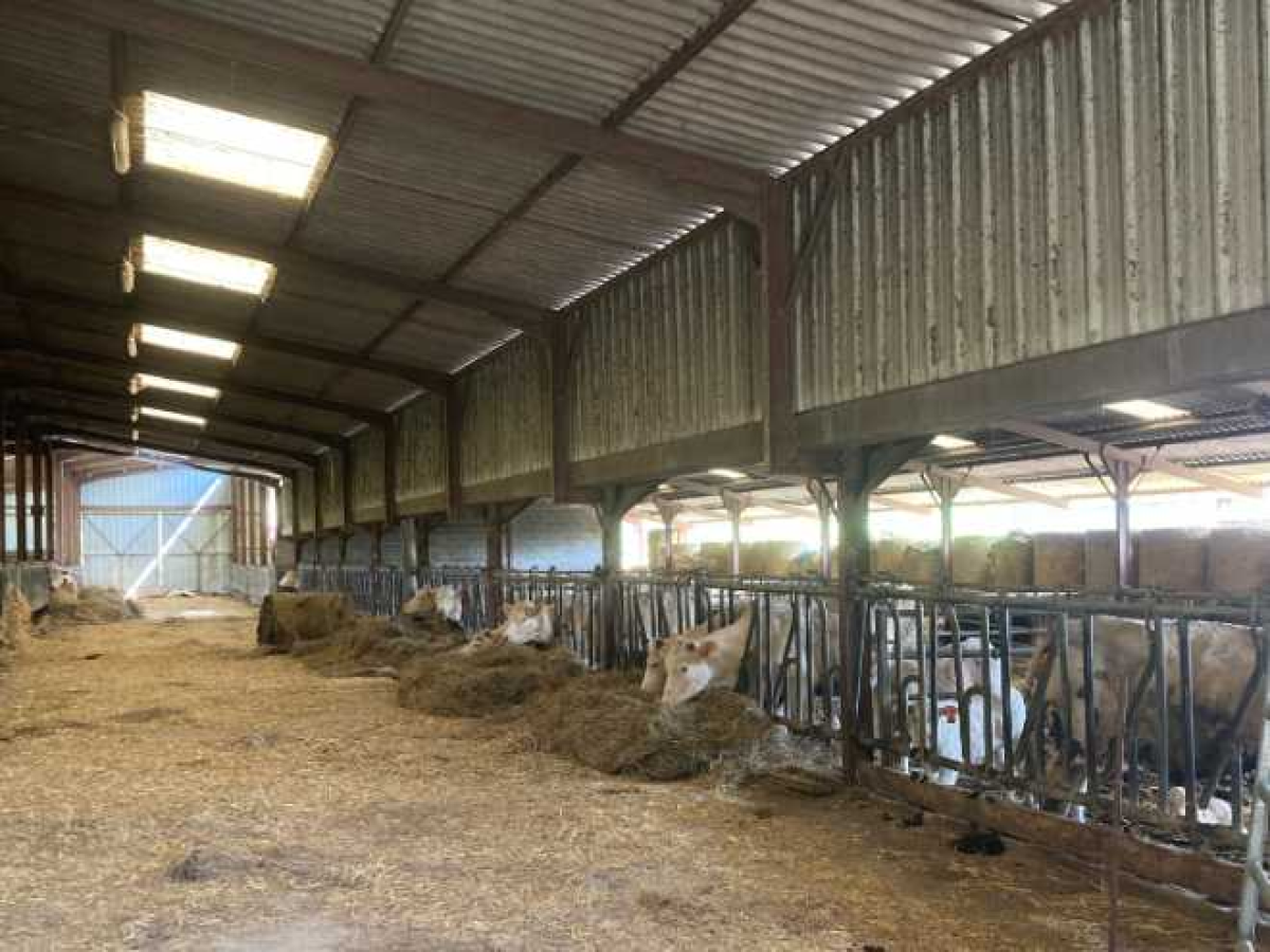 Ferme d’Élevage Bovins viande à reprendre à Lurcy-le-Bourg – Nièvre (58)