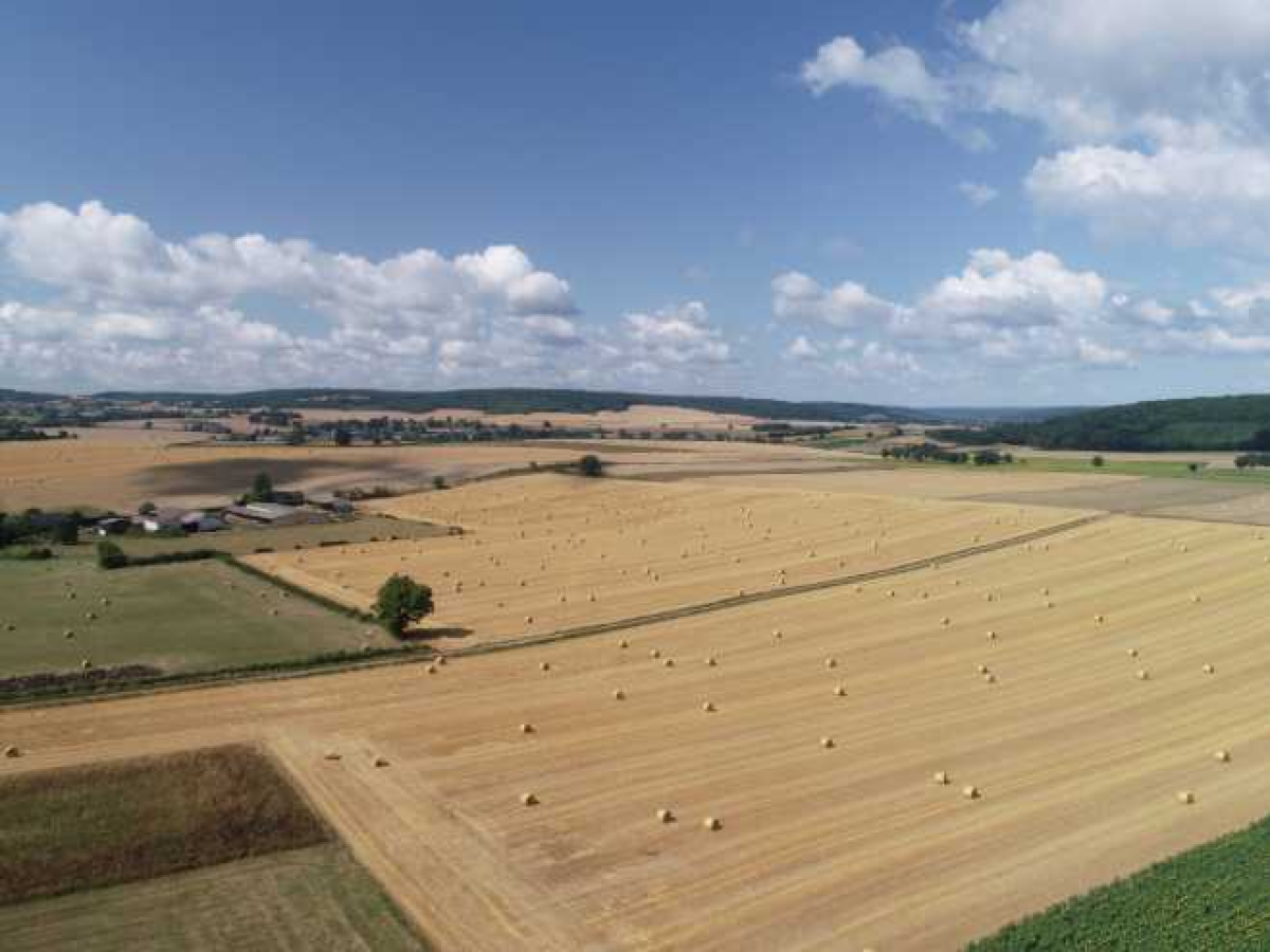 Ferme d’Élevage Bovins viande à reprendre à Lurcy-le-Bourg – Nièvre (58)