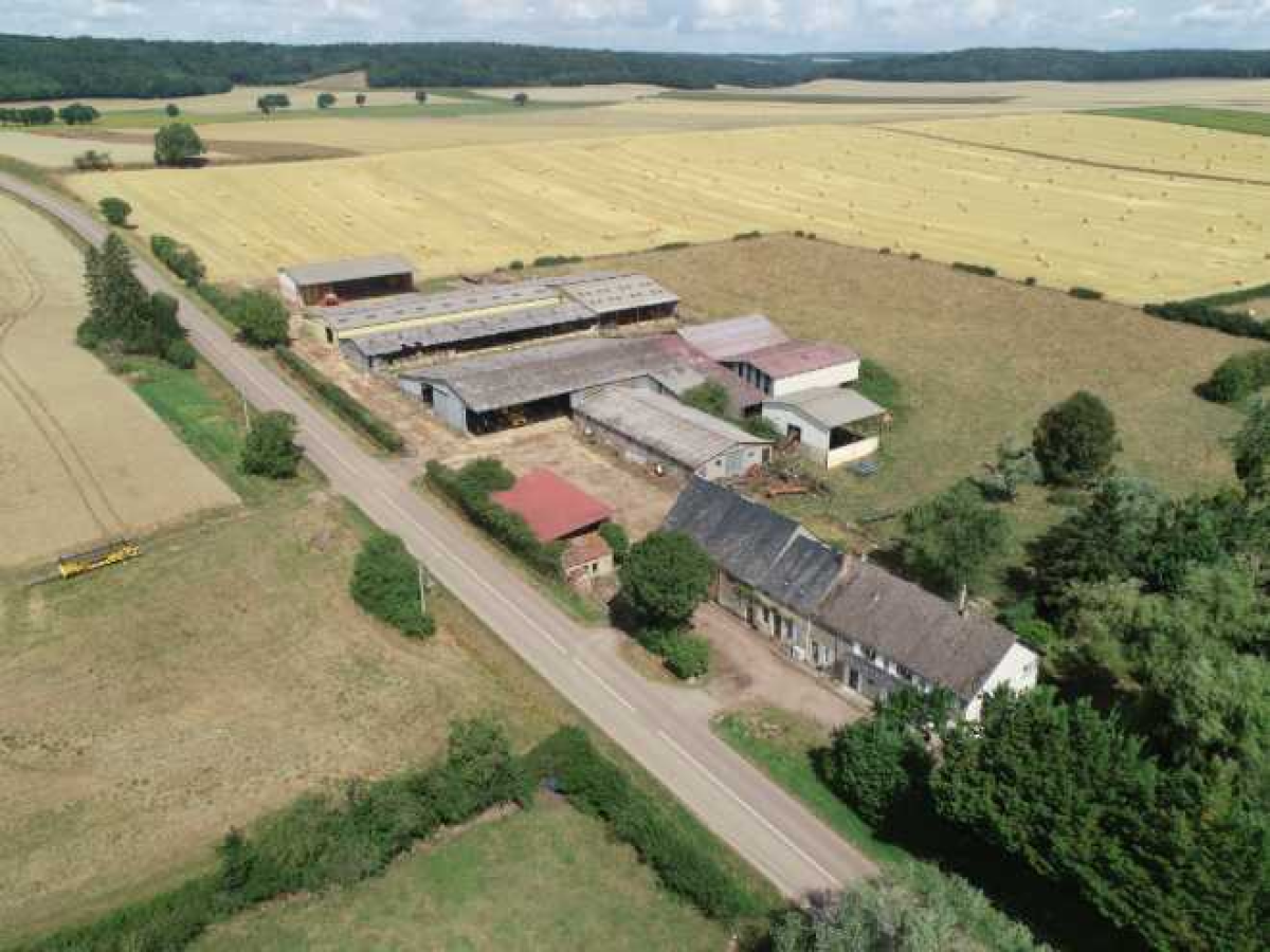 Ferme d’Élevage Bovins viande à reprendre à Lurcy-le-Bourg – Nièvre (58)