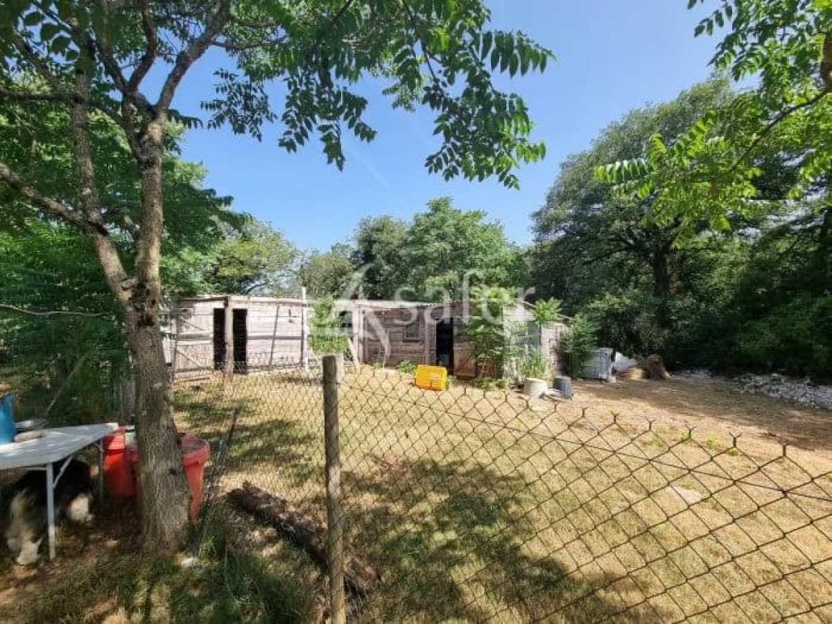 Exploitation agricole de 4 ha à reprendre dans le Parc Naturel Régional des Causses du Quercy – Lot (46)