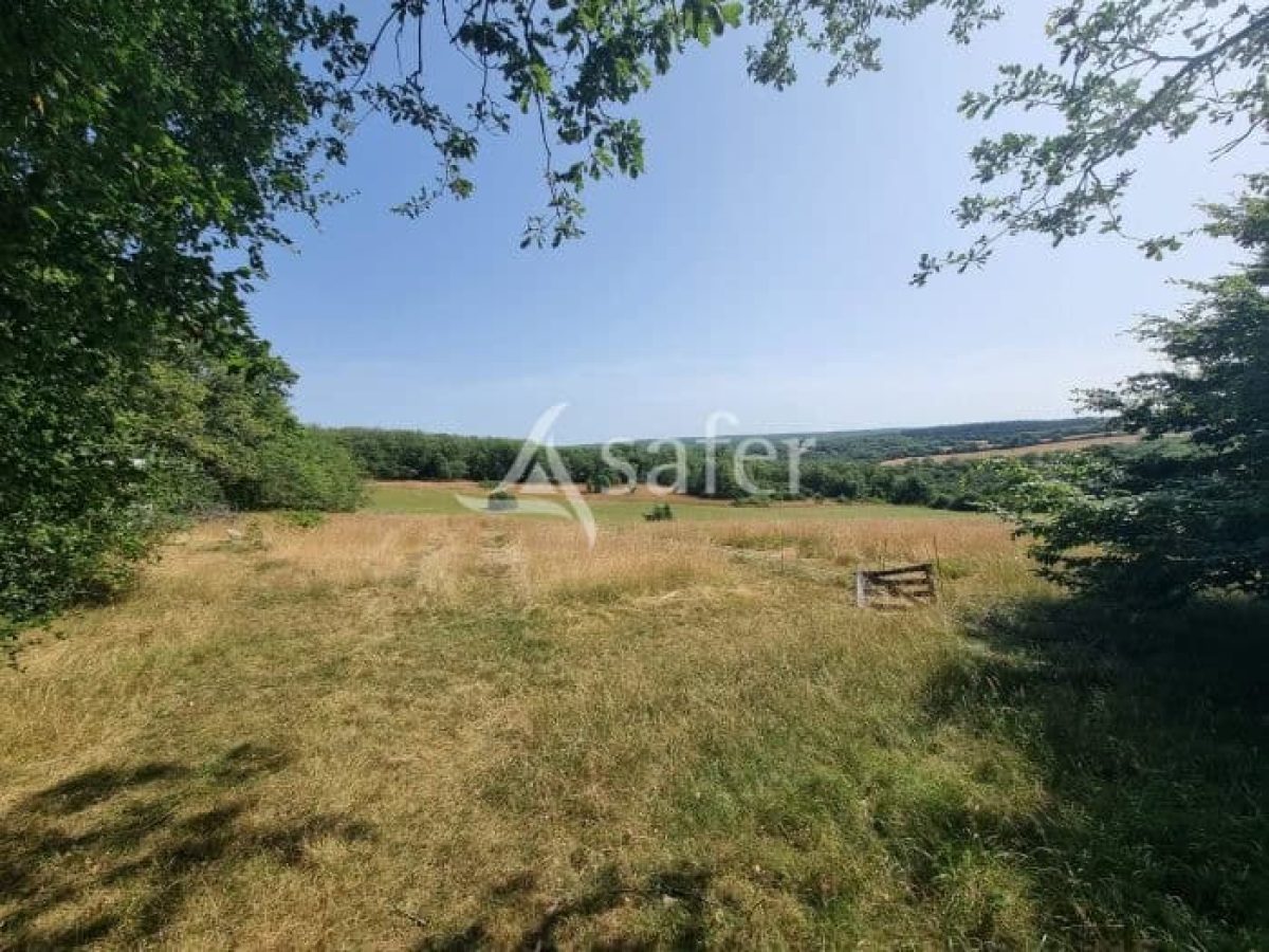 Exploitation agricole de 4 ha à reprendre dans le Parc Naturel Régional des Causses du Quercy – Lot (46)