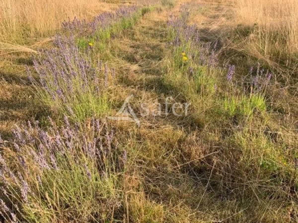 Exploitation agricole de 4 ha à reprendre dans le Parc Naturel Régional des Causses du Quercy – Lot (46)
