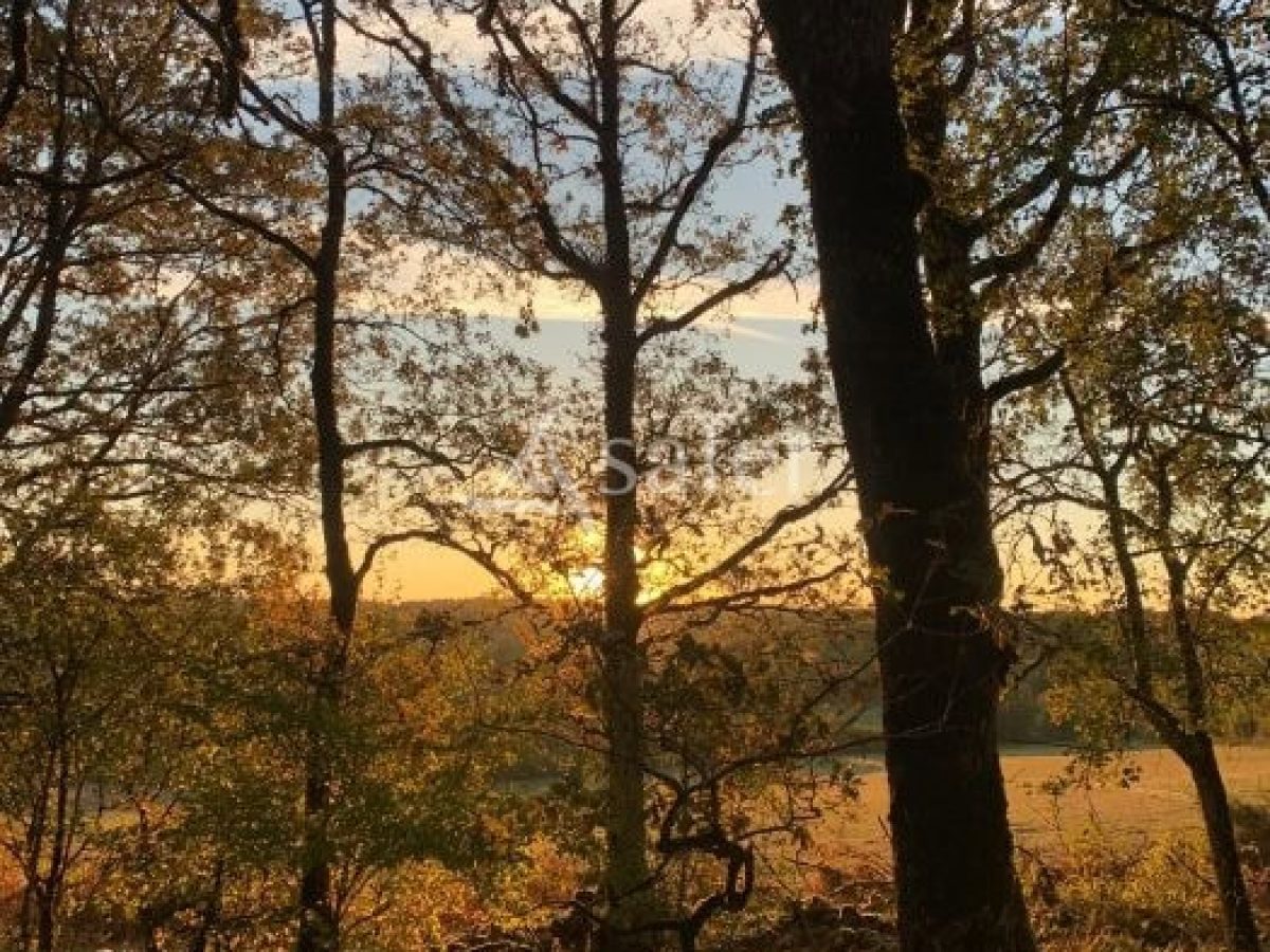 Exploitation agricole de 4 ha à reprendre dans le Parc Naturel Régional des Causses du Quercy – Lot (46)