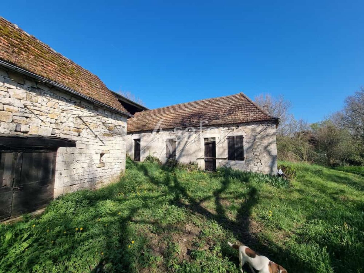 Exploitation nucicole de 8 hectares à vendre sur le Causse de Martel - Lot (46)