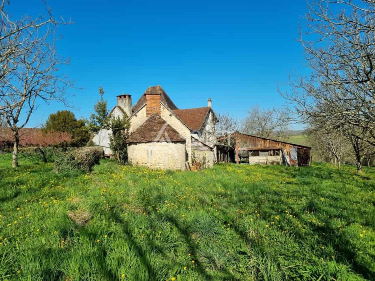Exploitation nucicole de 8 hectares à vendre sur le Causse de Martel - Lot (46)