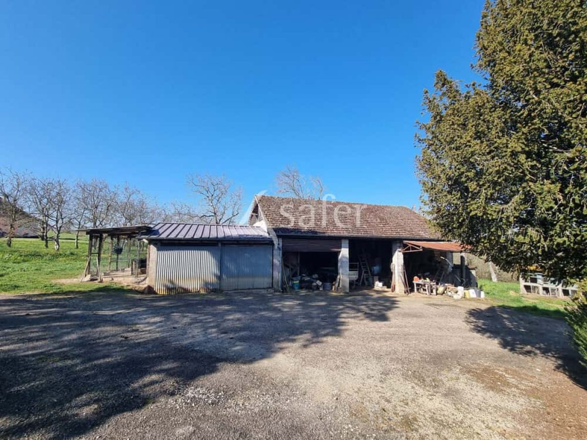 Exploitation nucicole de 8 hectares à vendre sur le Causse de Martel - Lot (46)