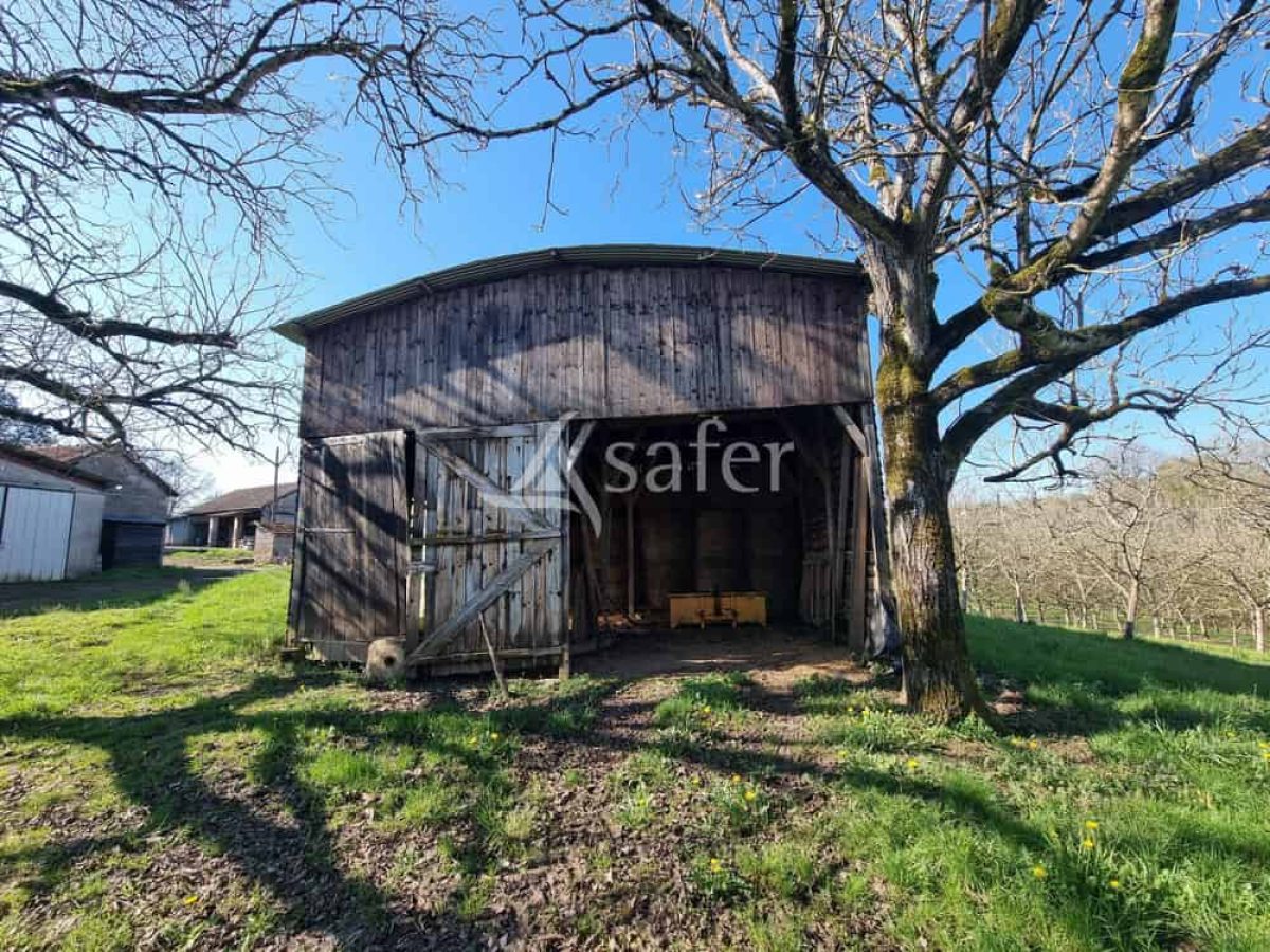 Exploitation nucicole de 8 hectares à vendre sur le Causse de Martel - Lot (46)