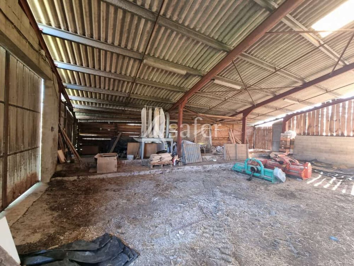 Exploitation nucicole de 8 hectares à vendre sur le Causse de Martel - Lot (46)