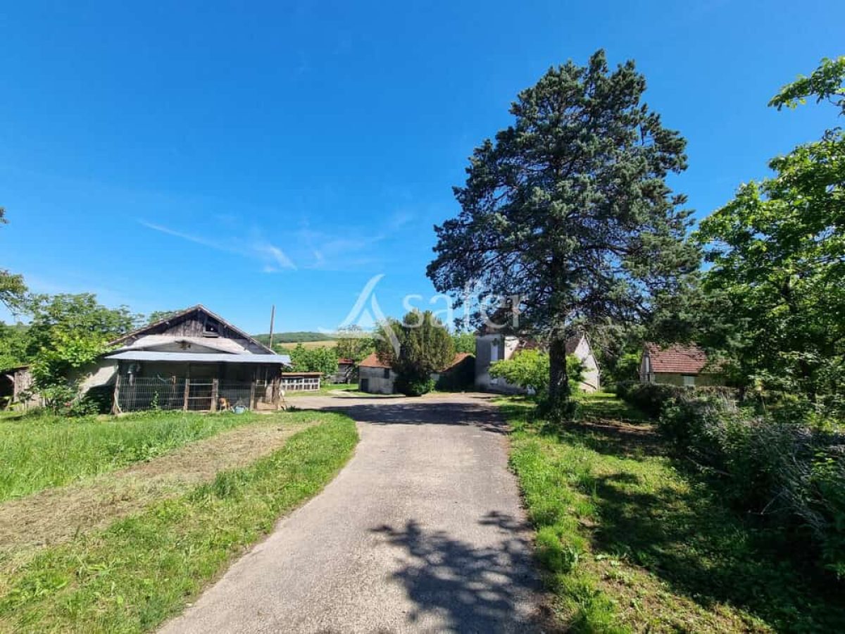 Exploitation nucicole de 8 hectares à vendre sur le Causse de Martel - Lot (46)