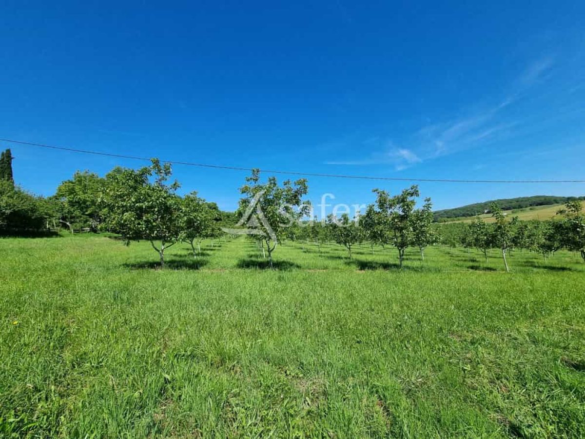 Exploitation nucicole de 8 hectares à vendre sur le Causse de Martel - Lot (46)